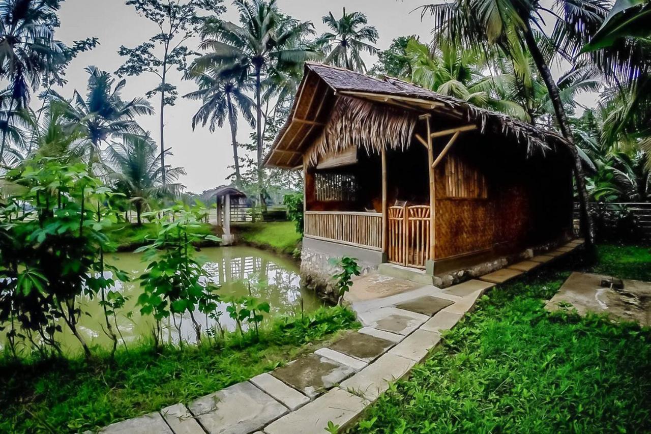 Baleku Bamboo Retreat Hotell Pangandaran Eksteriør bilde